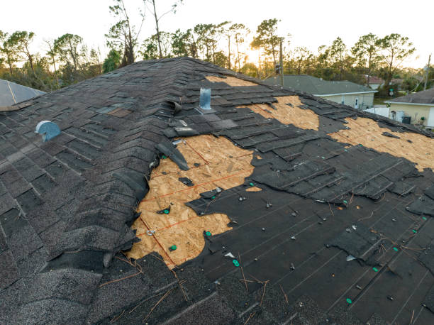 Best Skylight Installation and Repair  in Towanda, PA